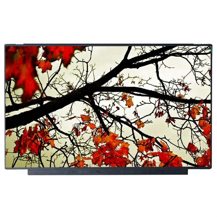 NS160WU0-M60 LCD パネル 16.0 インチ 1920*1200 LCD スクリーン